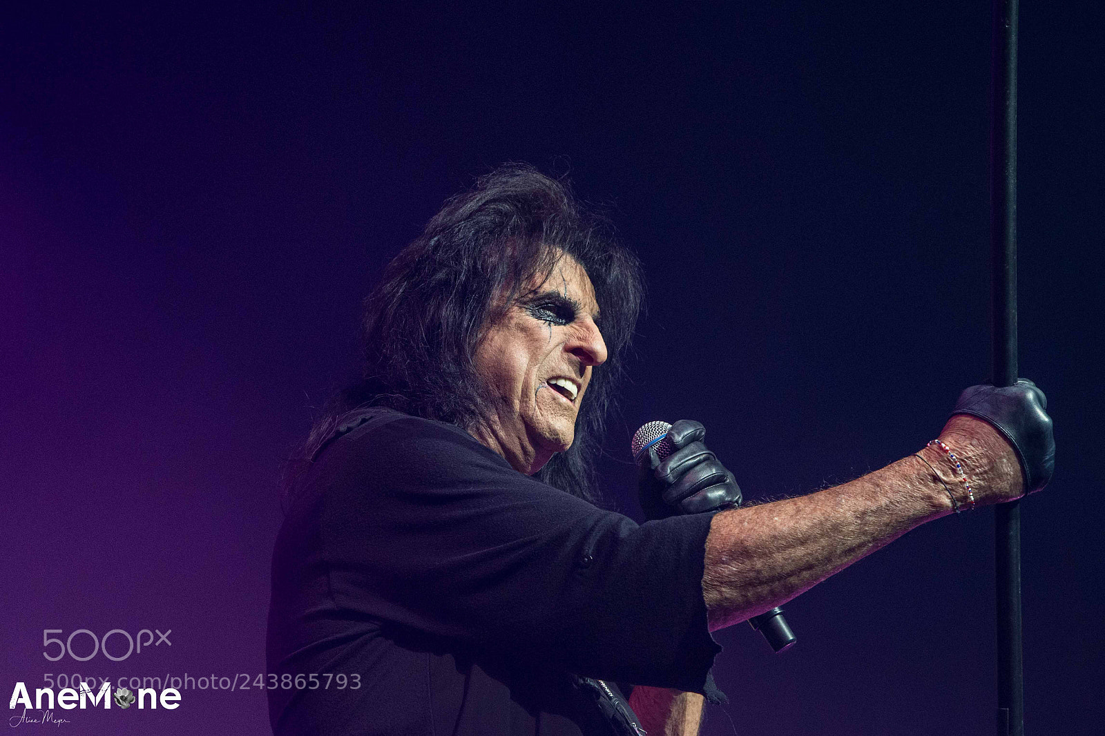 Canon EOS-1D X sample photo. Alice cooper photography