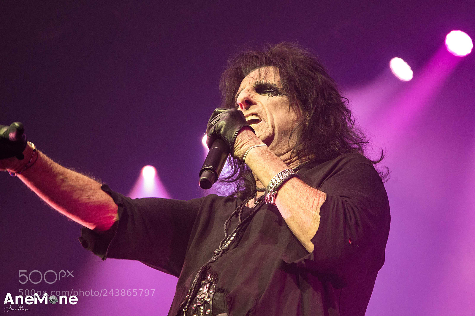 Canon EOS-1D X sample photo. Alice cooper photography