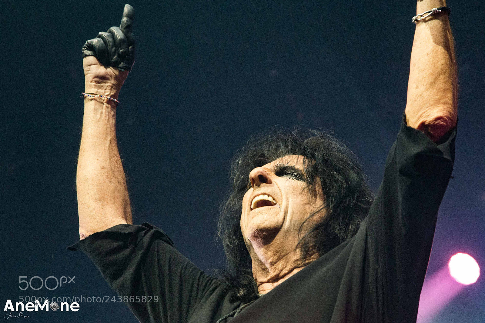 Canon EOS-1D X sample photo. Alice cooper photography