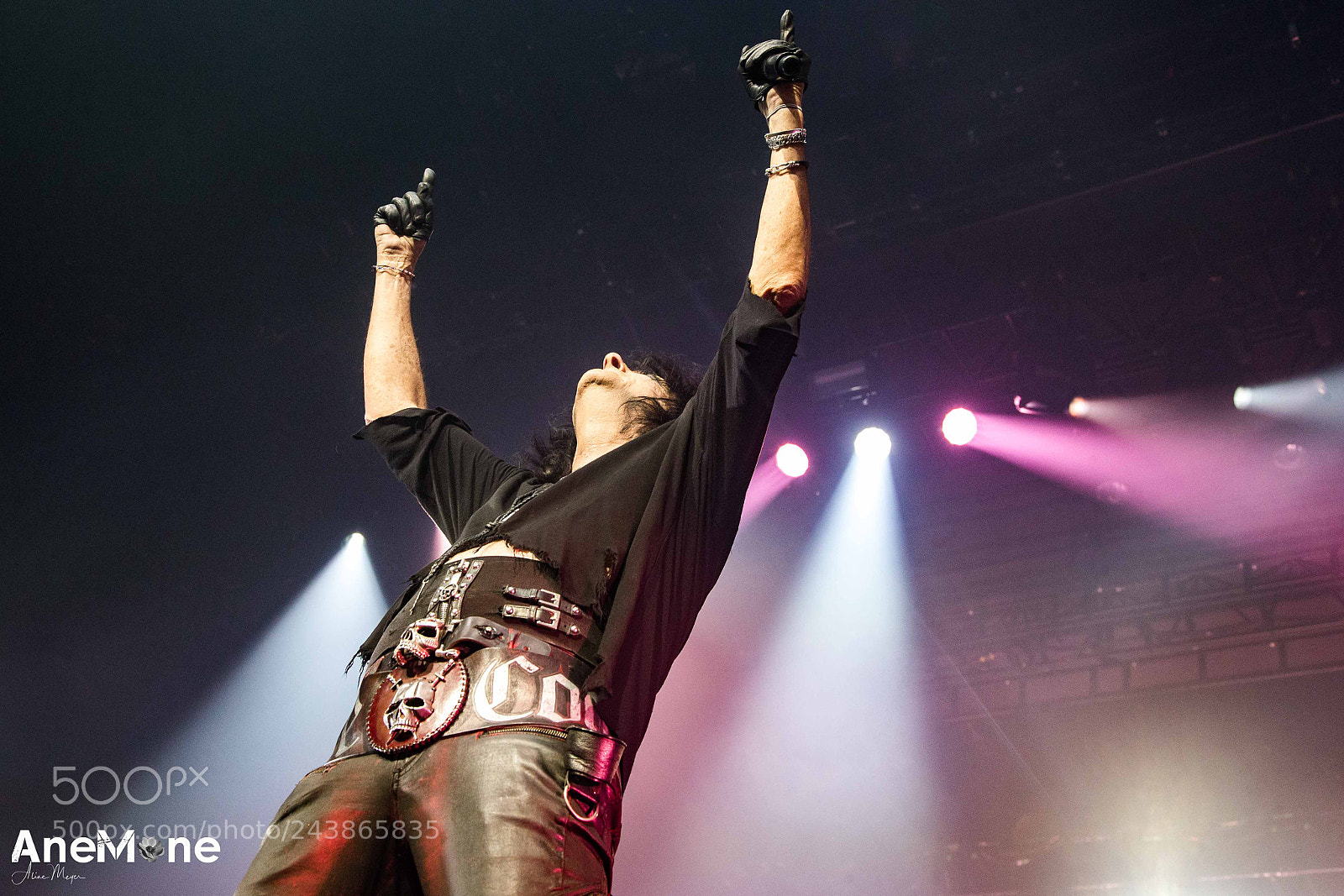 Canon EOS-1D X sample photo. Alice cooper photography