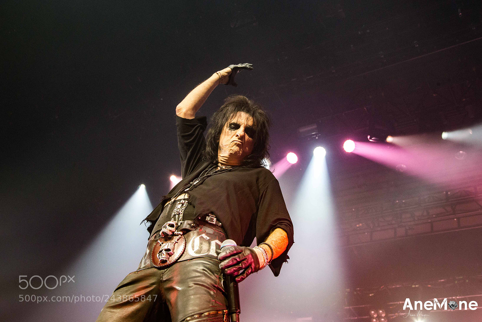 Canon EOS-1D X sample photo. Alice cooper photography