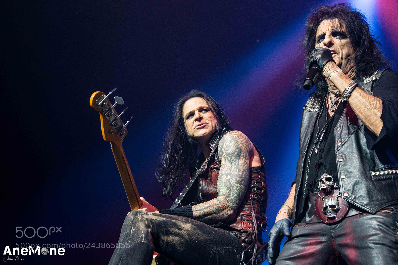 Canon EOS-1D X sample photo. Alice cooper photography