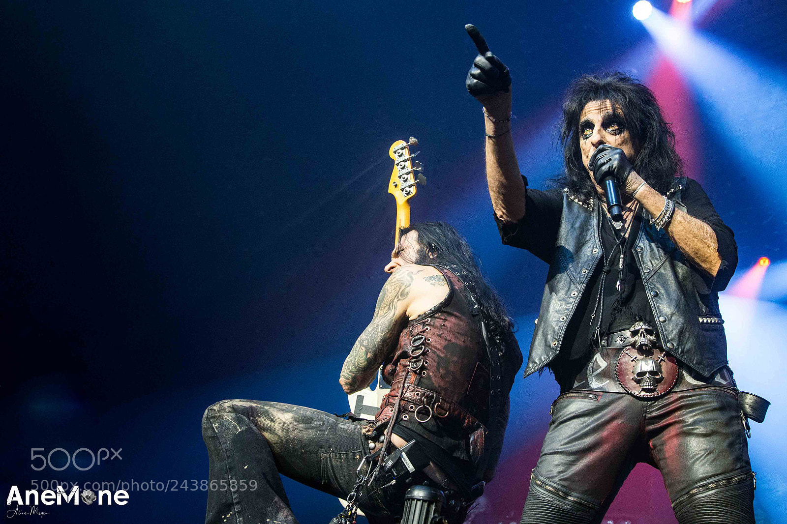 Canon EOS-1D X sample photo. Alice cooper photography