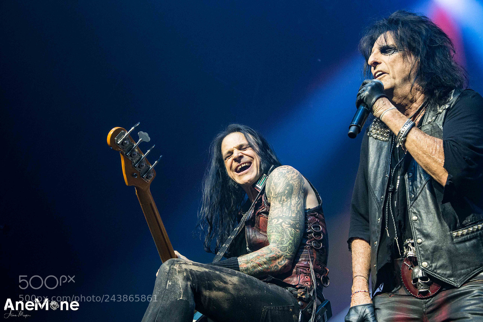Canon EOS-1D X sample photo. Alice cooper photography