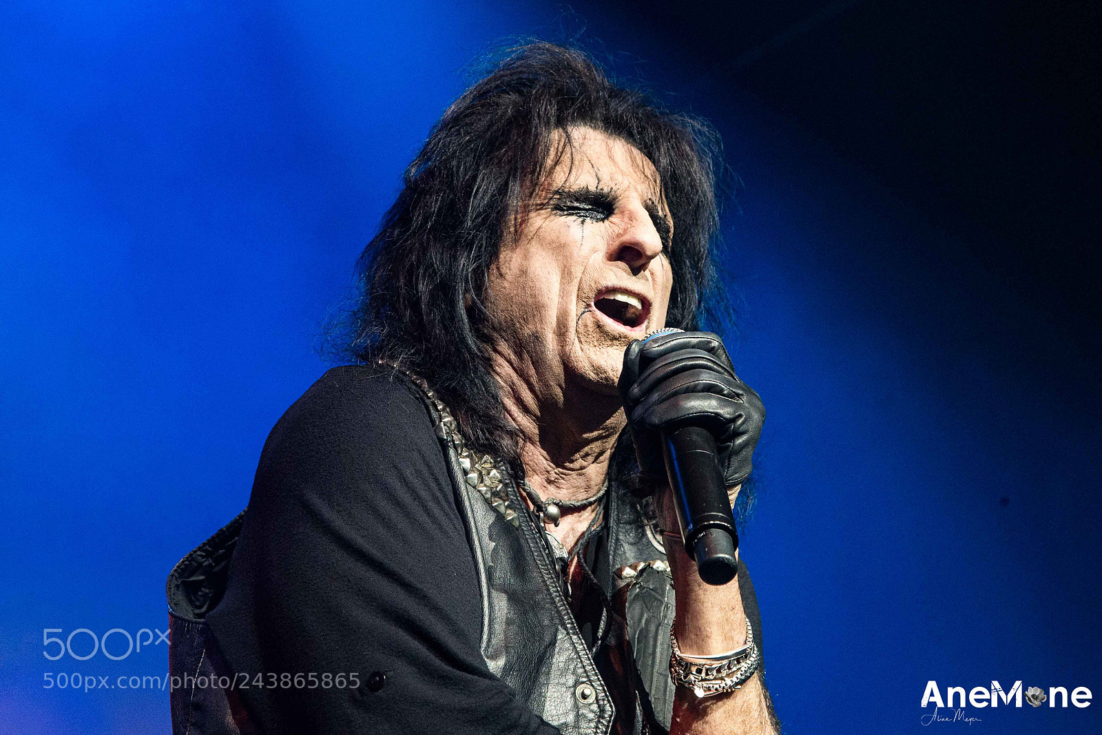 Canon EOS-1D X sample photo. Alice cooper photography