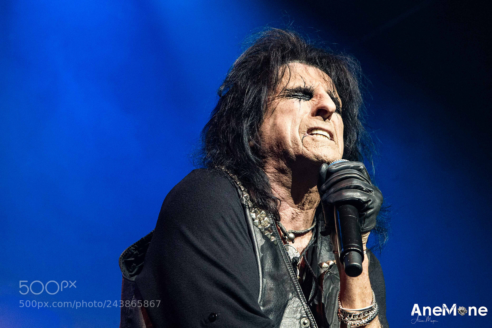 Canon EOS-1D X sample photo. Alice cooper photography