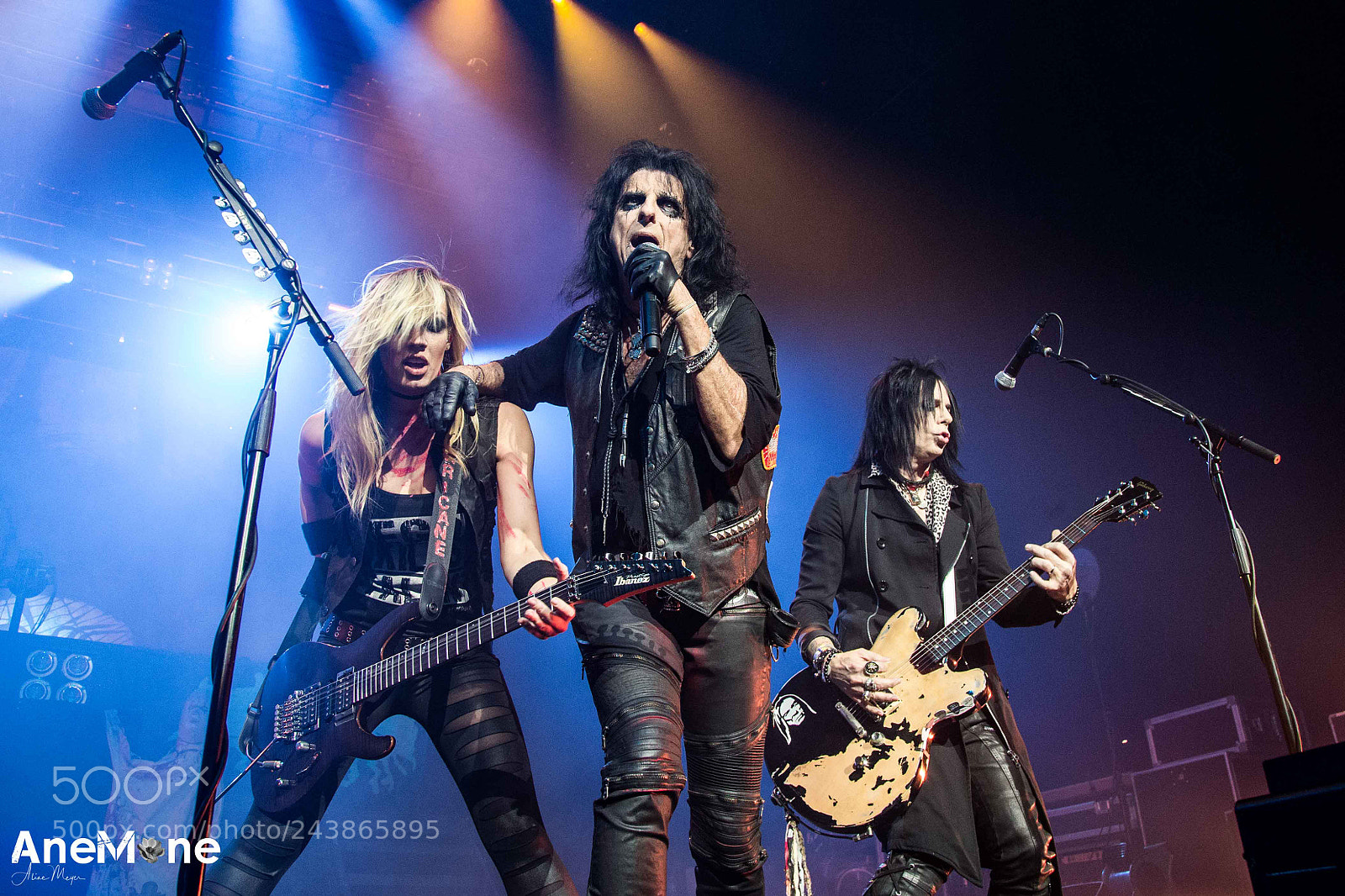 Canon EOS-1D X sample photo. Alice cooper photography