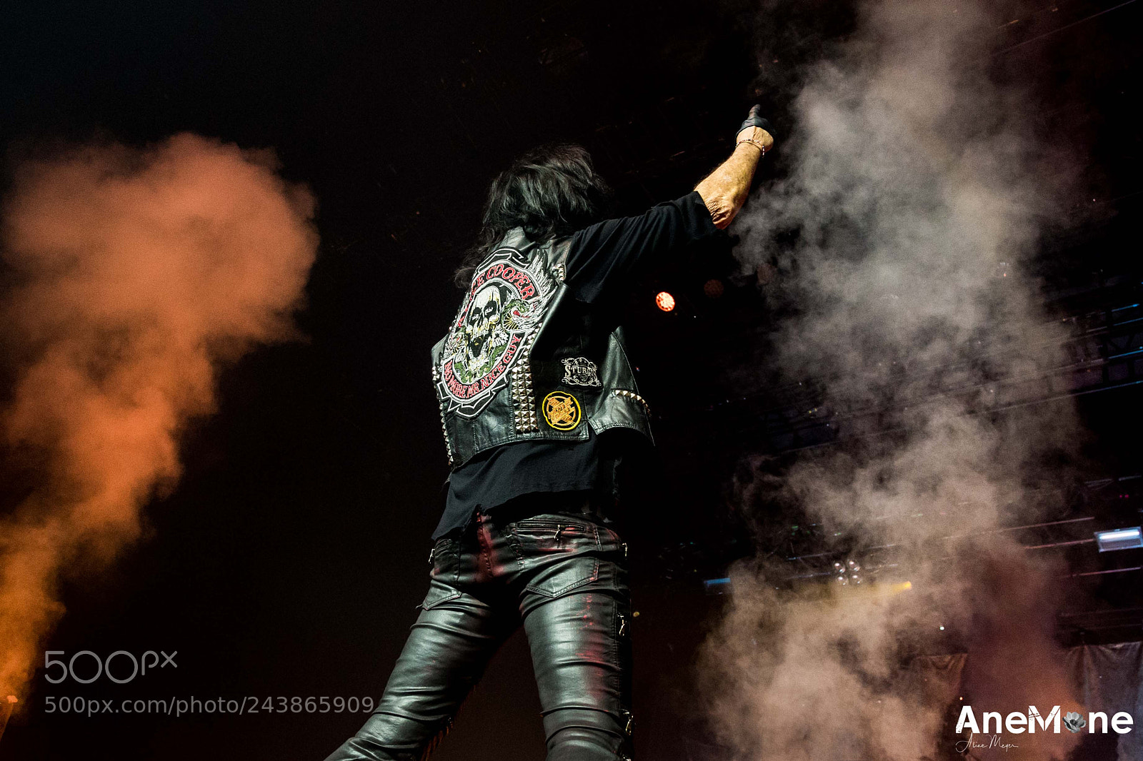 Canon EOS-1D X sample photo. Alice cooper photography
