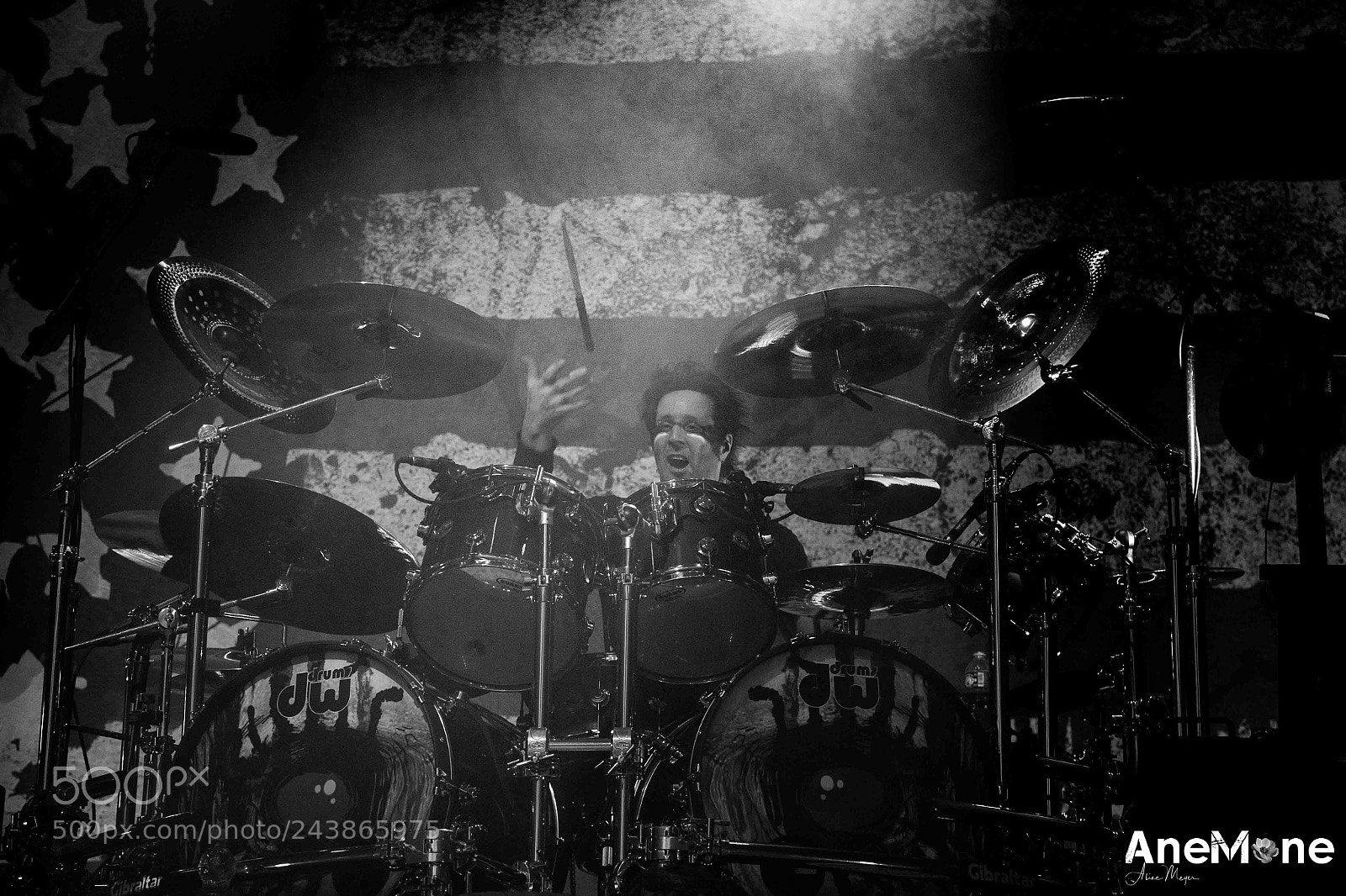 Canon EOS-1D X sample photo. Alice cooper photography