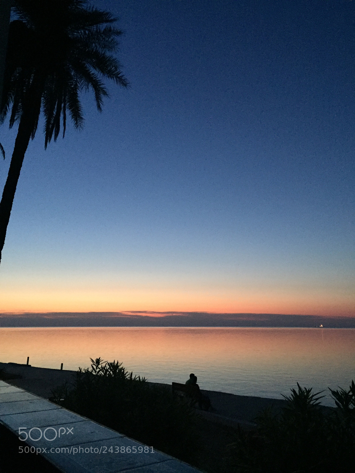Apple iPhone 6 sample photo. Img photography