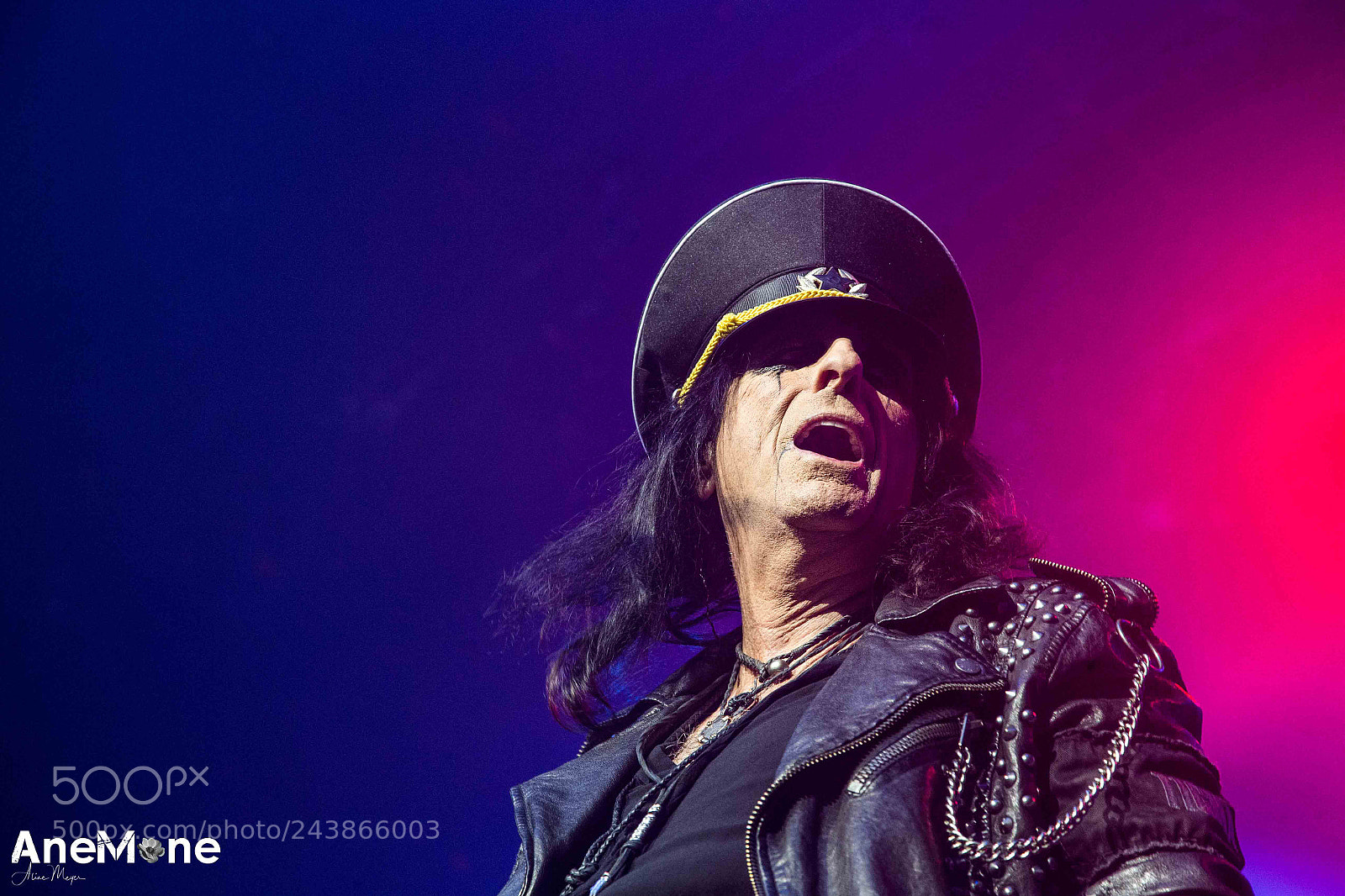 Canon EOS-1D X sample photo. Alice cooper photography