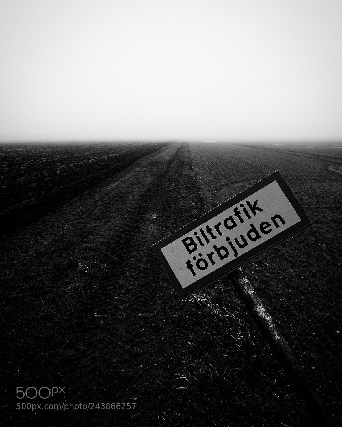 Fujifilm X-T2 sample photo. No motor vehicles. photography