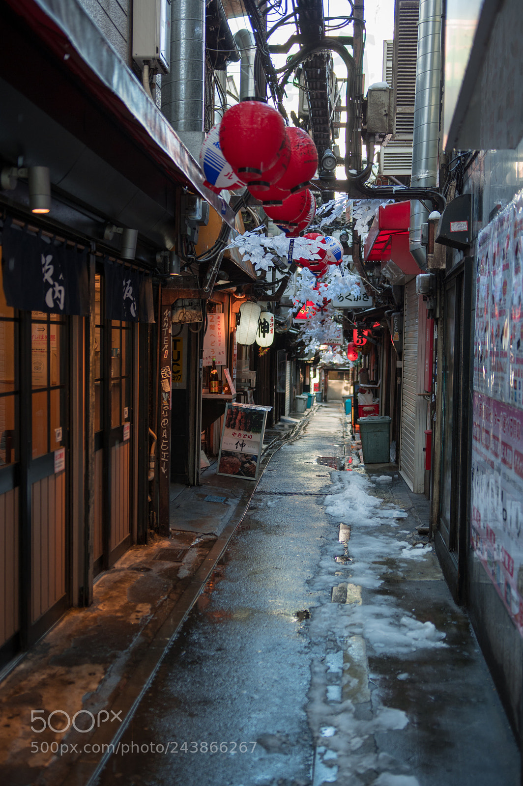 Pentax KP sample photo. 95 photography