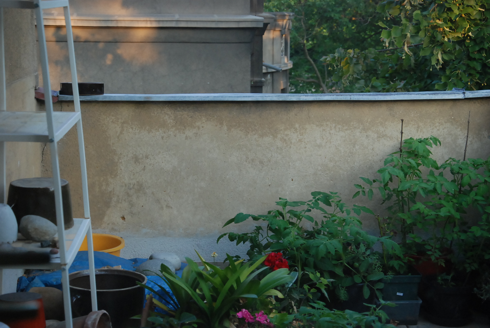 Nikon D80 sample photo. One summer photography