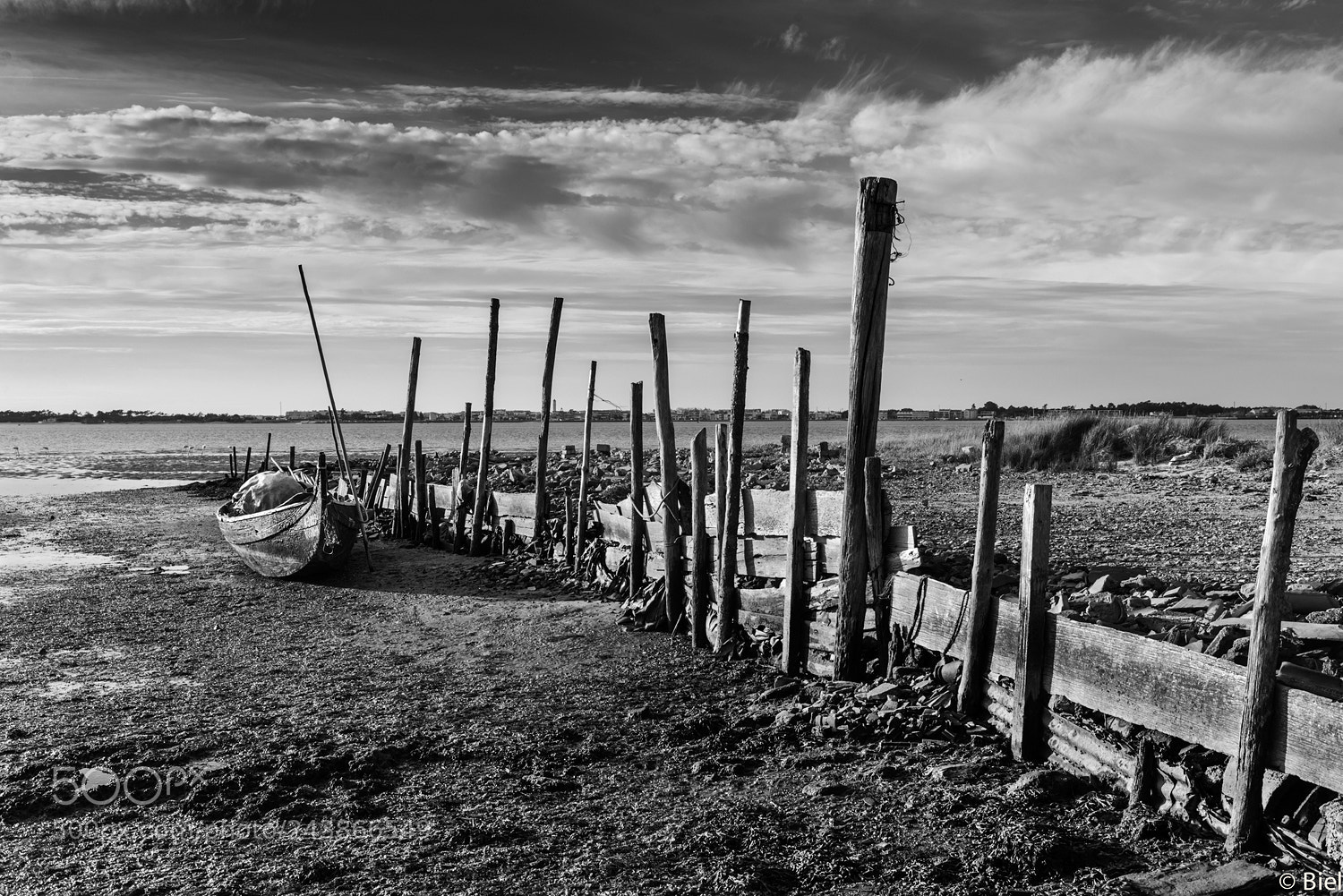 Nikon D610 sample photo. Stranded photography