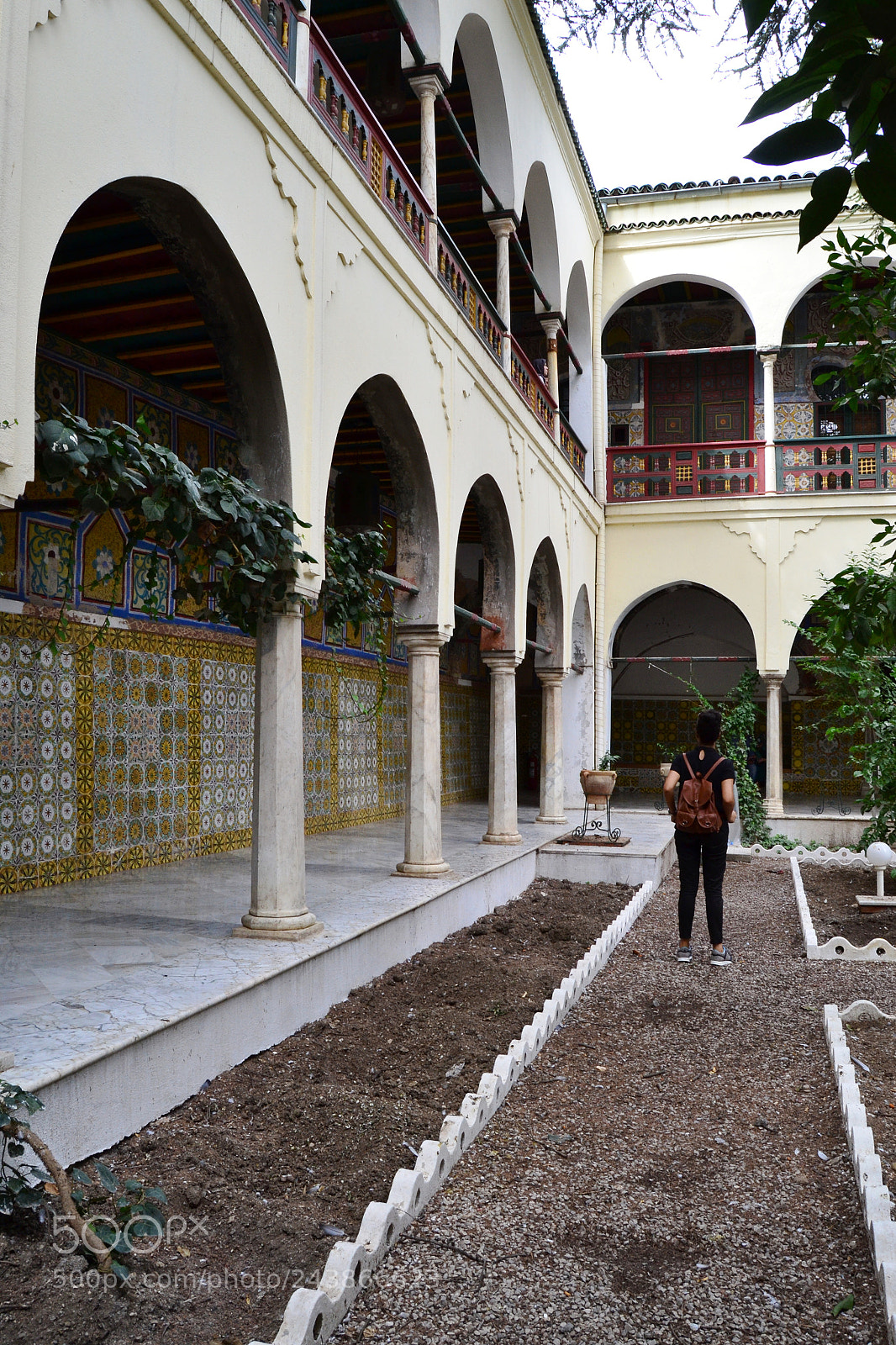 Nikon D3100 sample photo. I am back photography