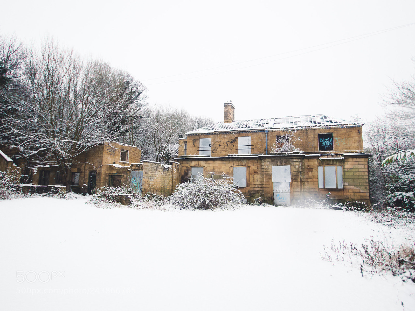 Nikon D3200 sample photo. Decaying in the snow photography
