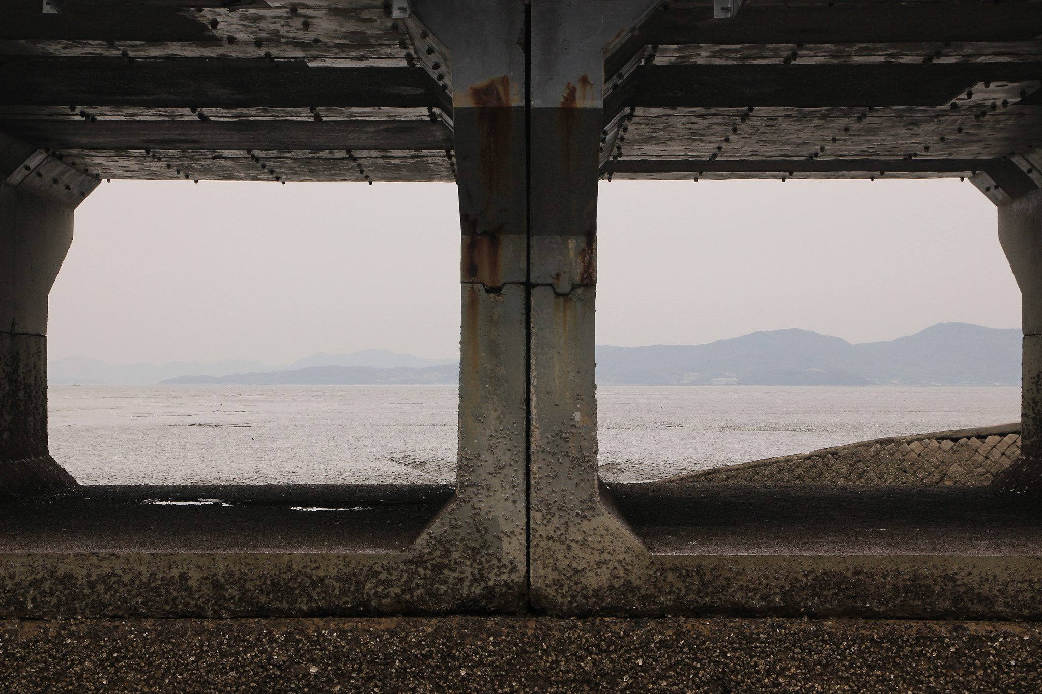 Canon EOS 650D (EOS Rebel T4i / EOS Kiss X6i) sample photo. One`s gaze photography