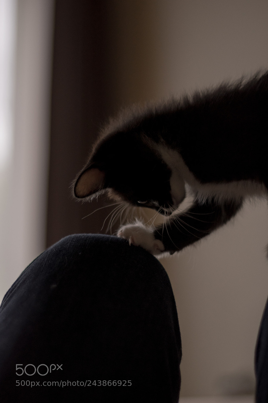 Pentax K-3 II sample photo. I'm sorry photography