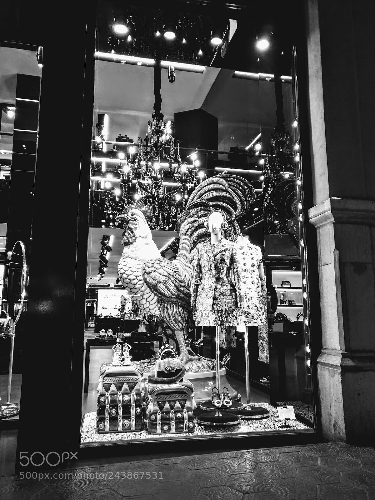 HUAWEI nova plus sample photo. M.g. shop dolce gabbana photography