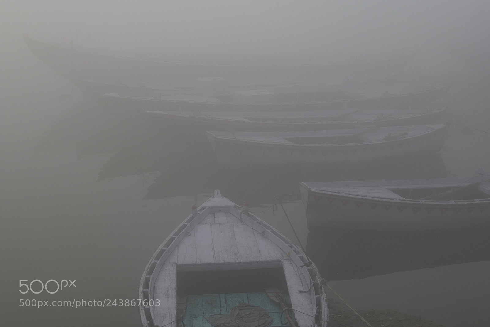 Nikon D850 sample photo. Boats in the fog photography