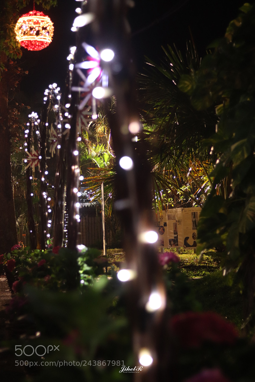 Canon EOS 77D (EOS 9000D / EOS 770D) sample photo. Fleur photography