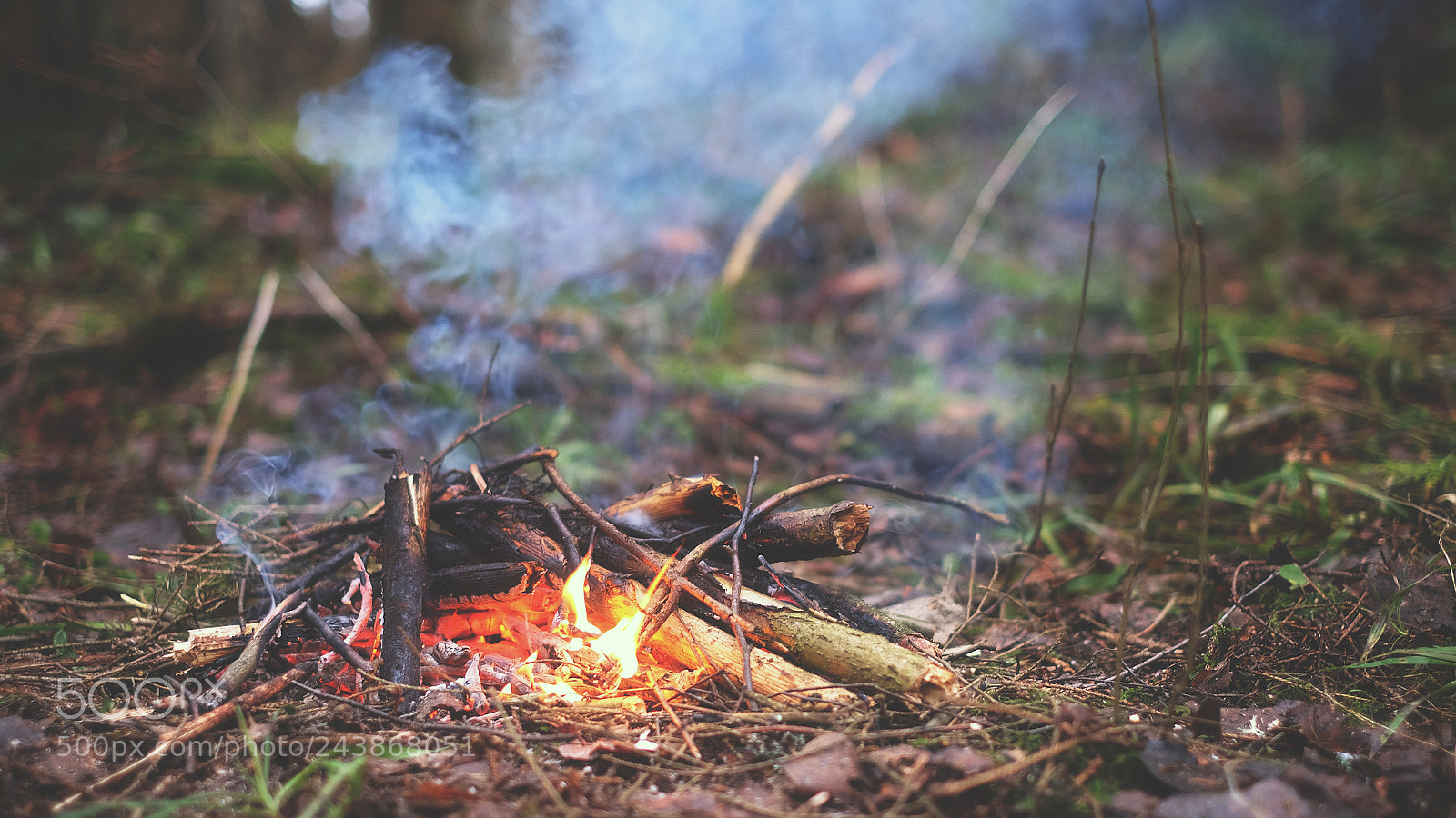 Fujifilm X-E2 sample photo. Bonfire in the forest photography