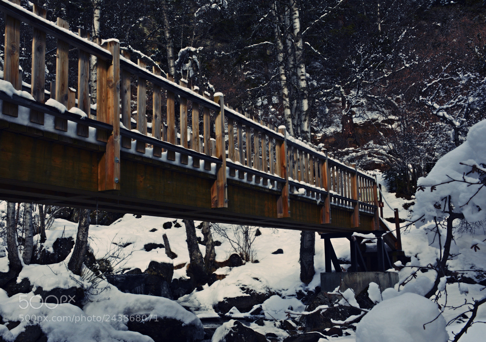 Nikon D7100 sample photo. Winter corner photography