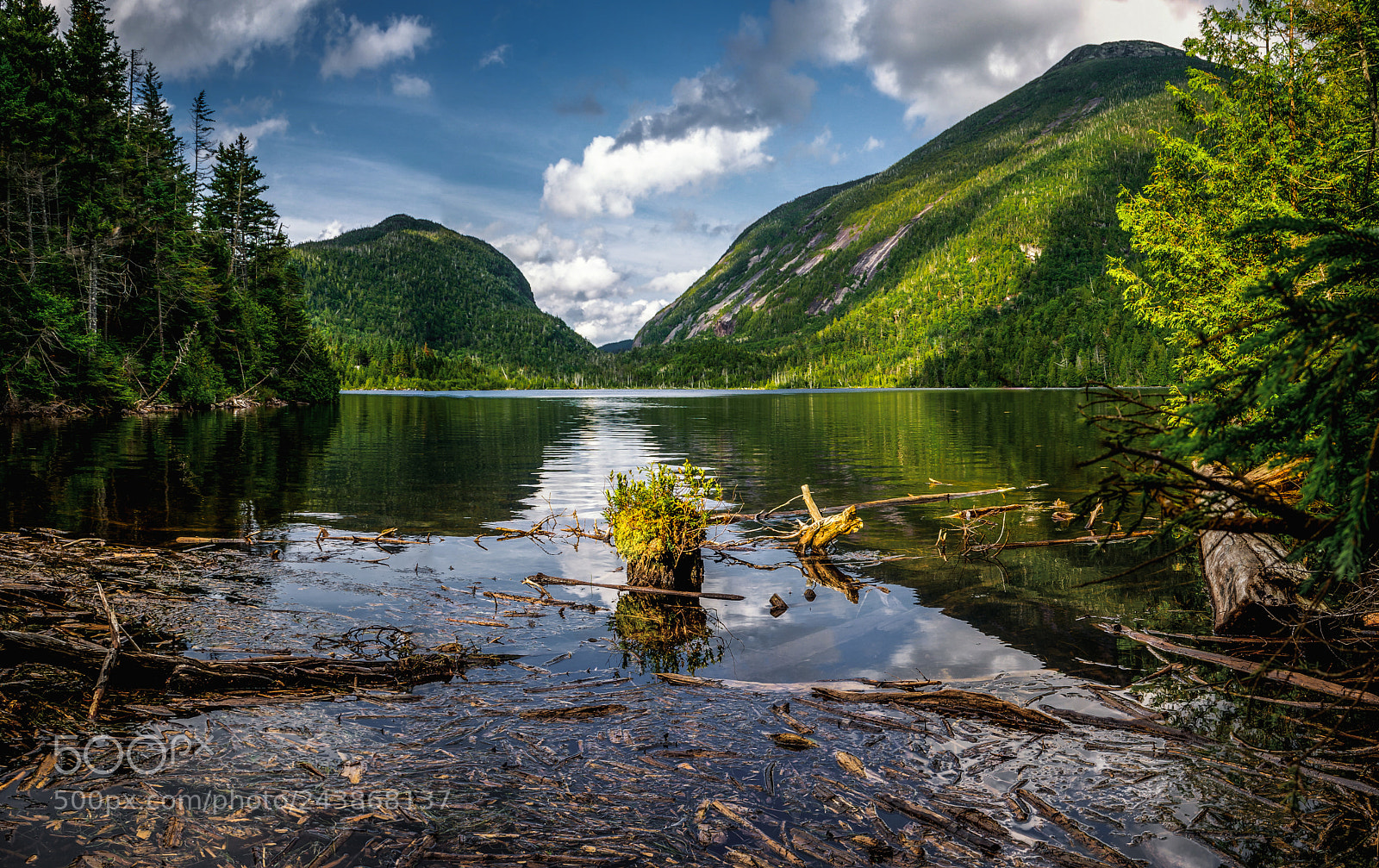 Nikon D5100 sample photo. Tardigrade island photography