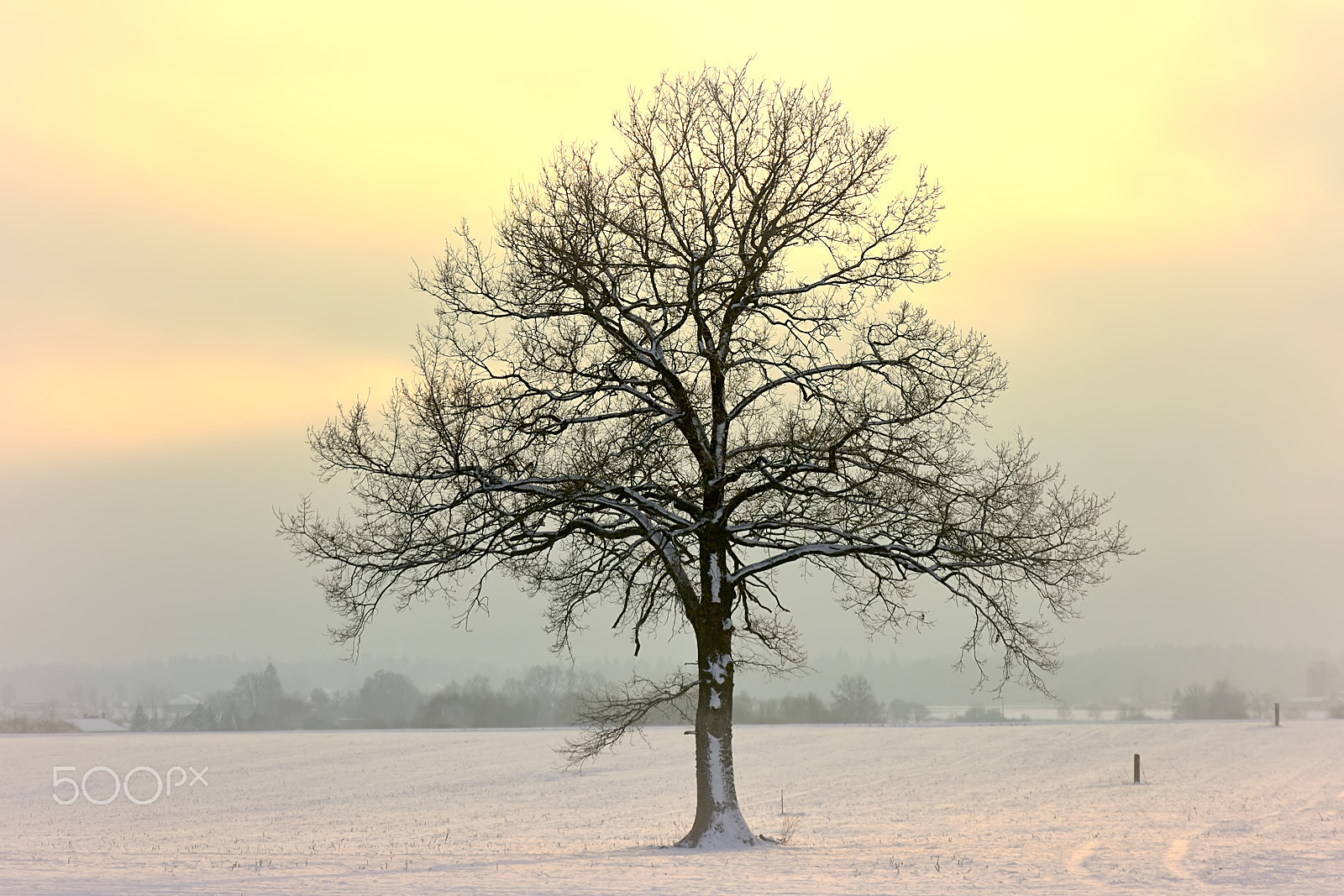 Nikon D3400 sample photo. Winter afternoon photography