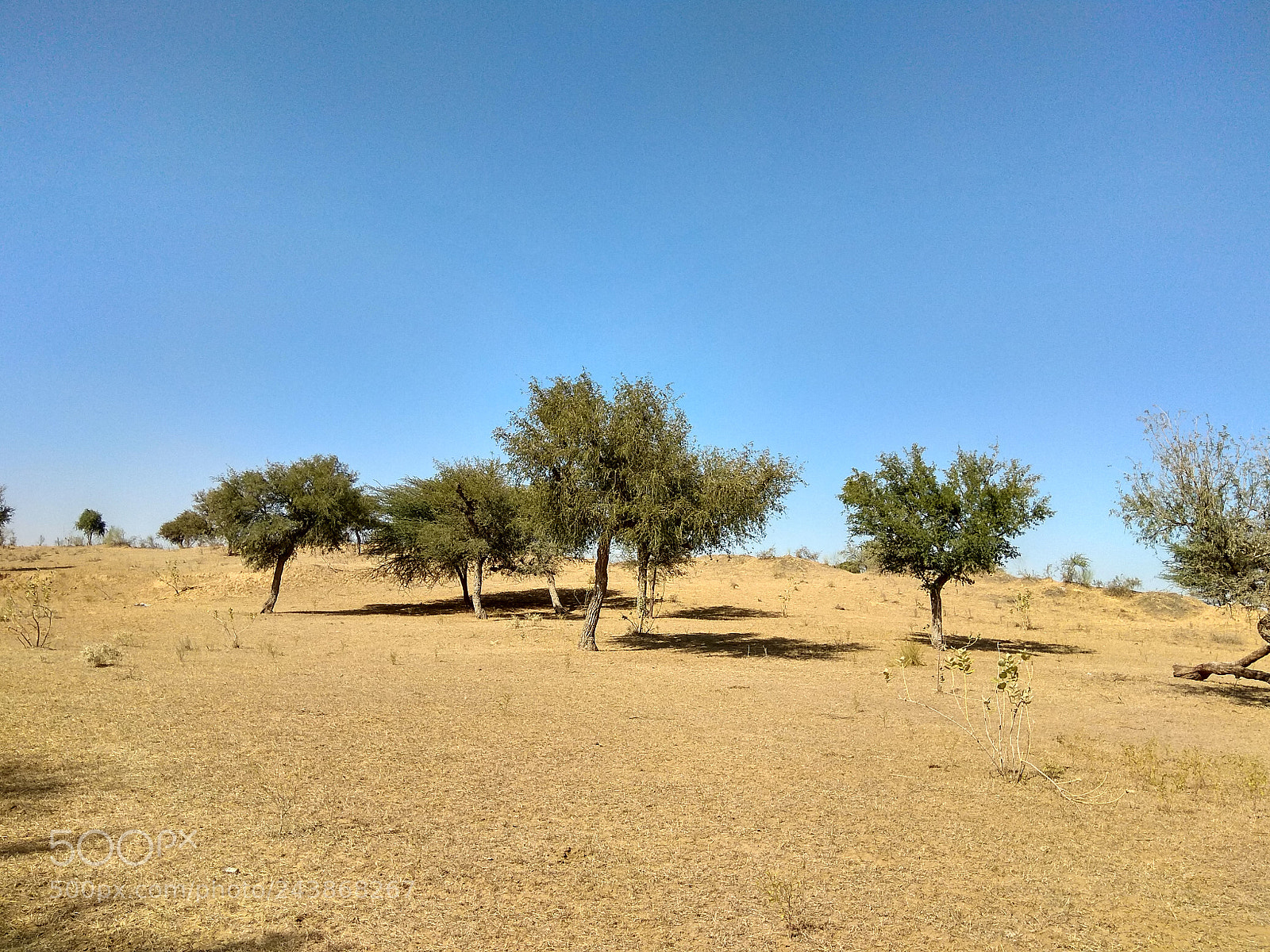 Xiaomi Redmi Note 4 sample photo. Rajasthan photography