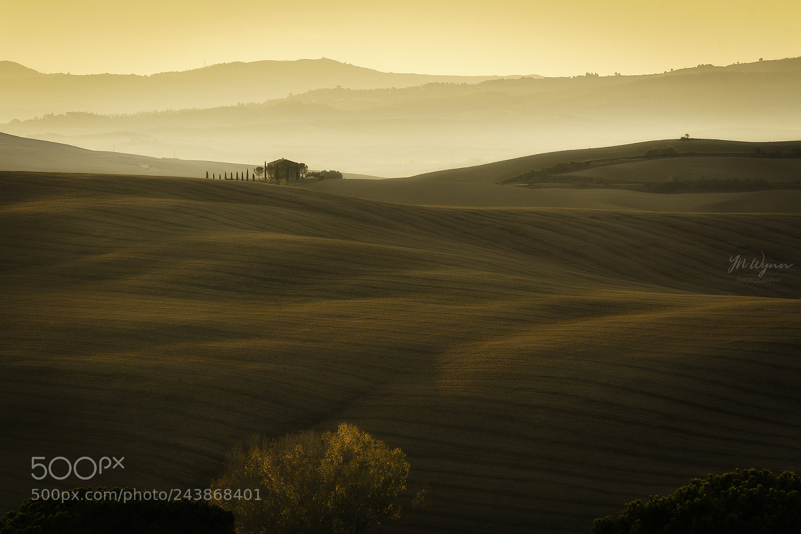 Sony a7R II sample photo. Golden hills photography