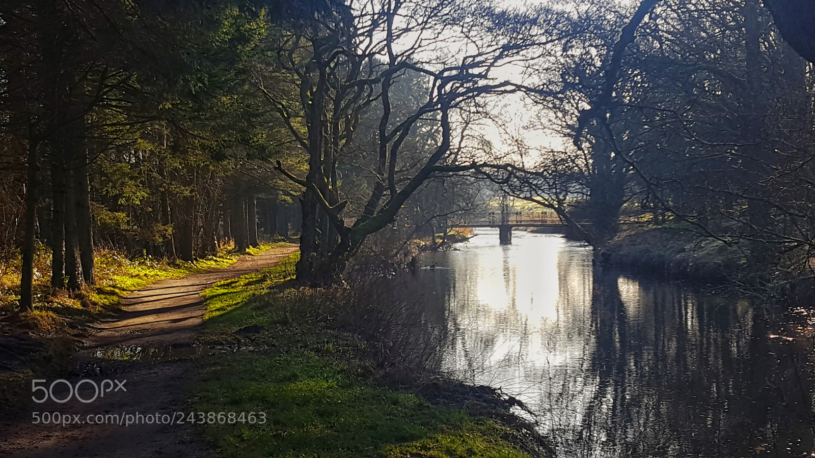 Samsung Galaxy S6 sample photo. Eglinton park photography