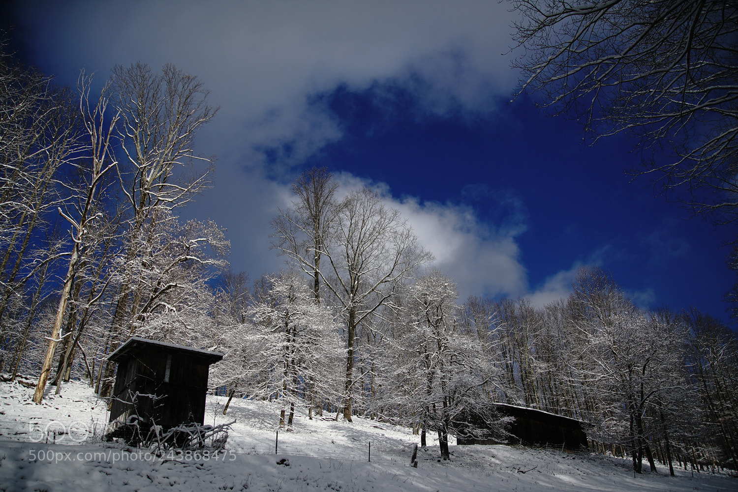 Sony a7R II sample photo. Winter photography