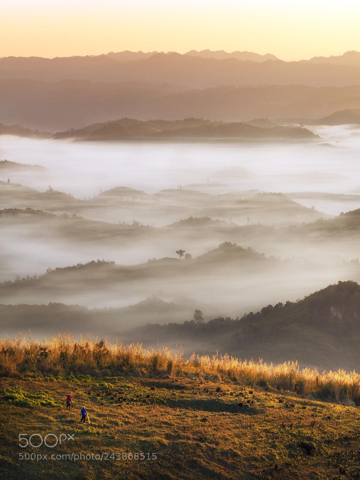 Olympus OM-D E-M10 III sample photo. Morning of dream photography