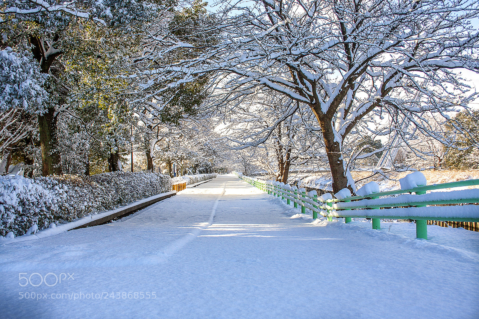 Canon EOS 40D sample photo. Ogaki gifu japan photography