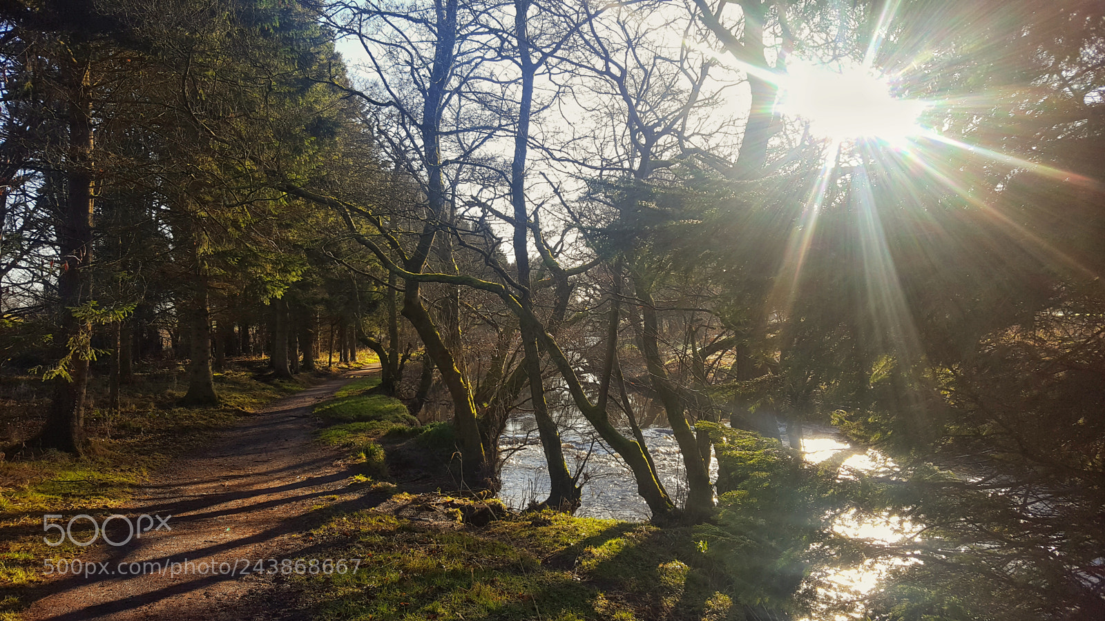 Samsung Galaxy S6 sample photo. Eglinton park photography