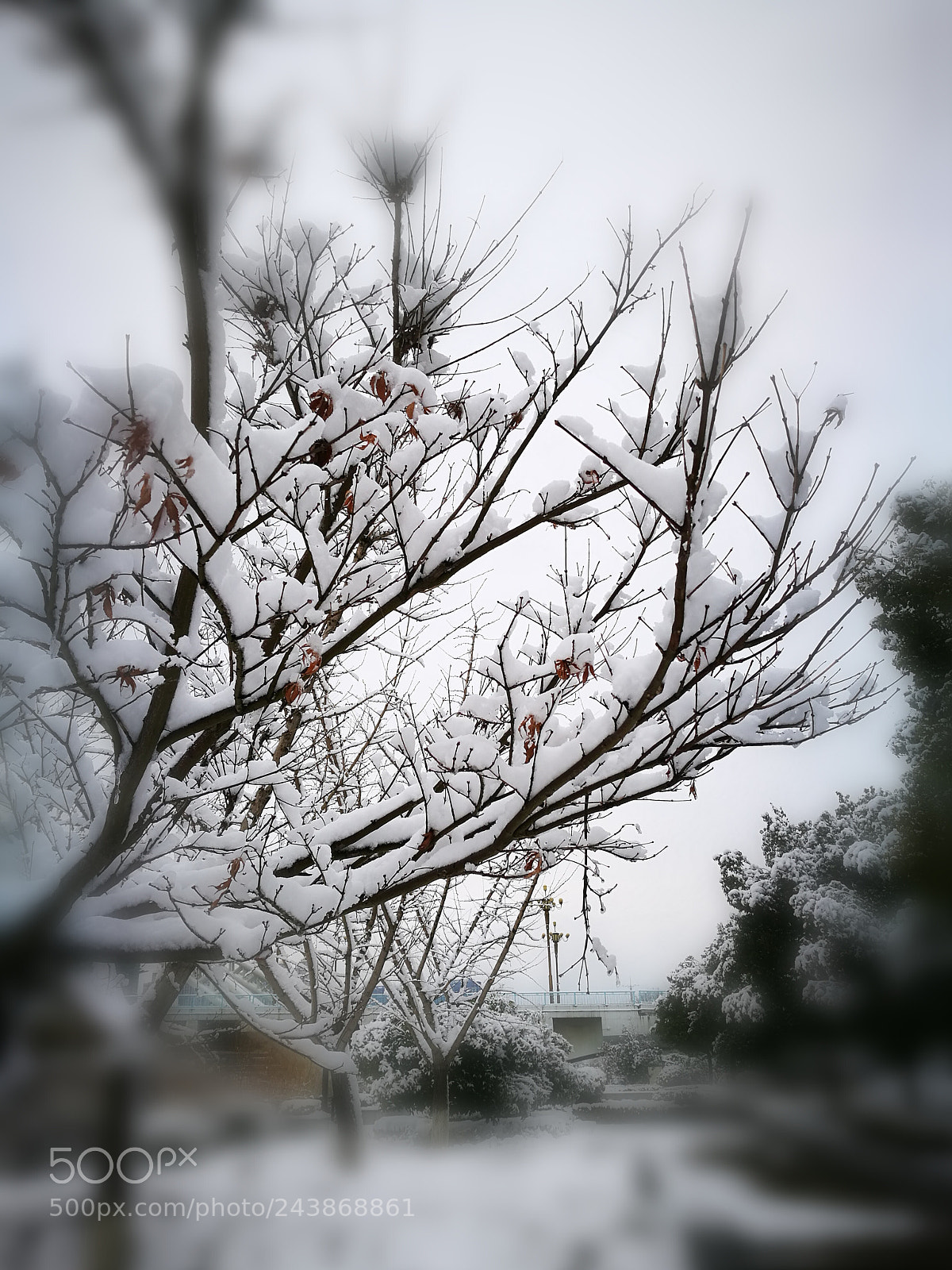 HUAWEI P9 sample photo. Untitled photography