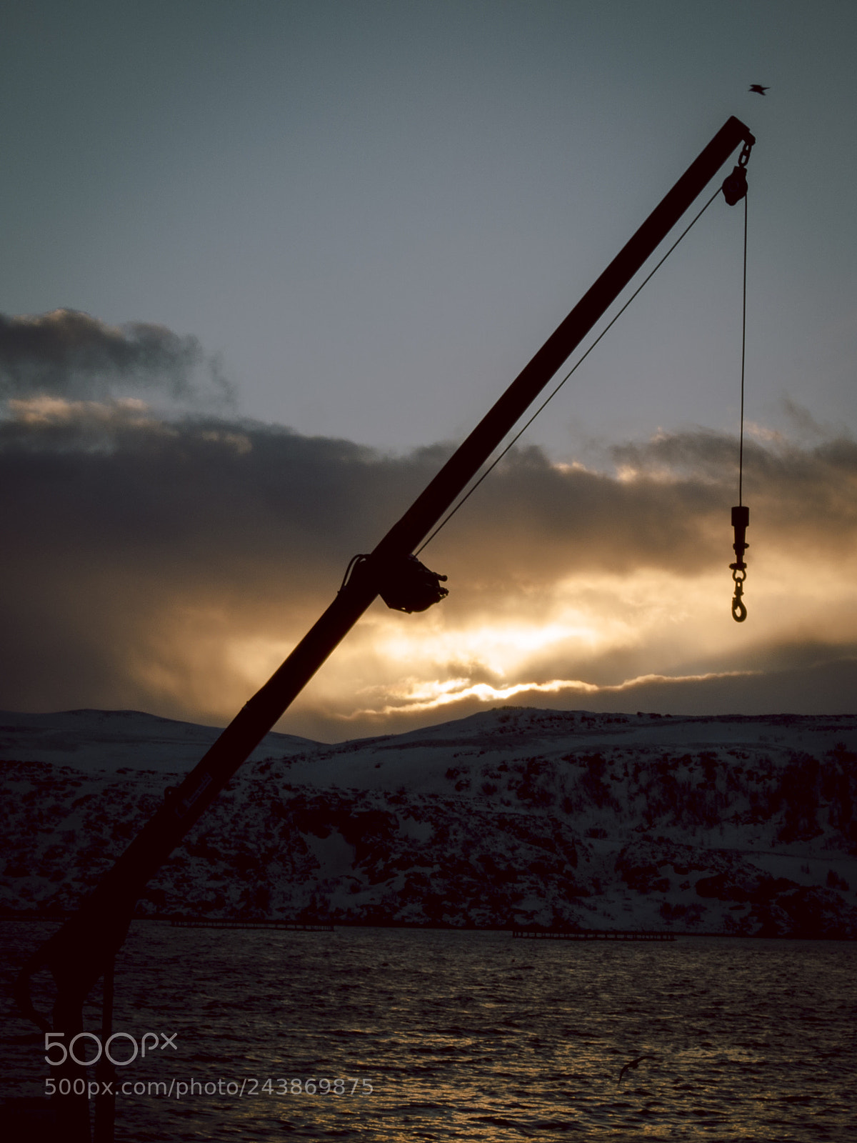 Olympus OM-D E-M5 II sample photo. Catching the sunlight photography