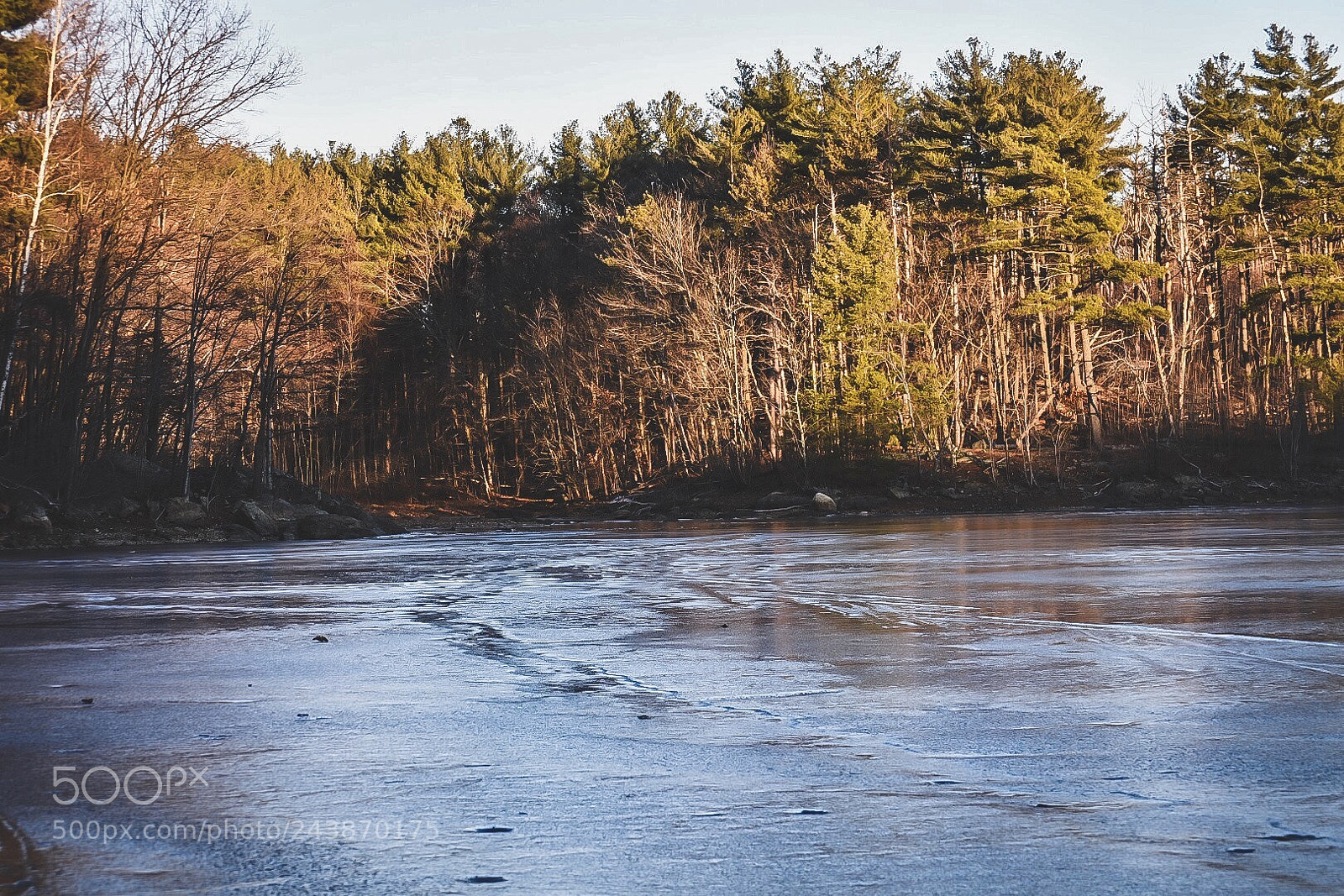 Nikon D7200 sample photo. Untitled2 photography
