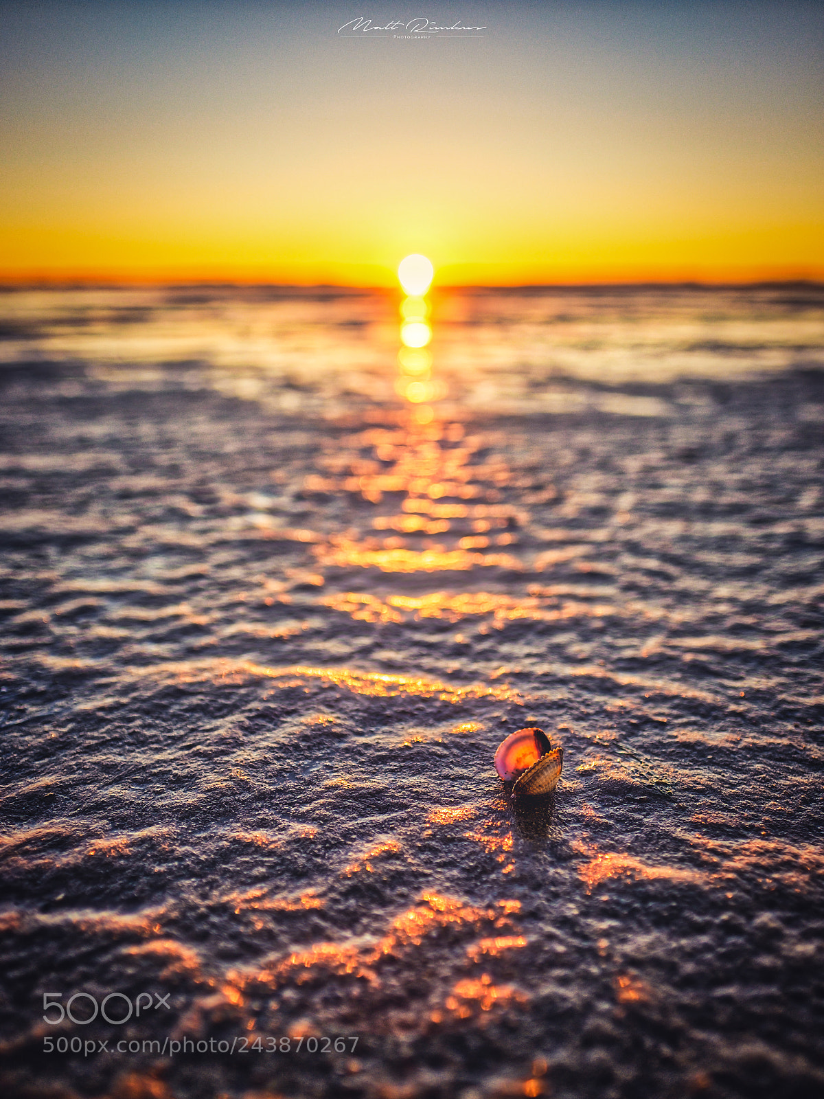 Fujifilm X-T2 sample photo. The sea shell photography