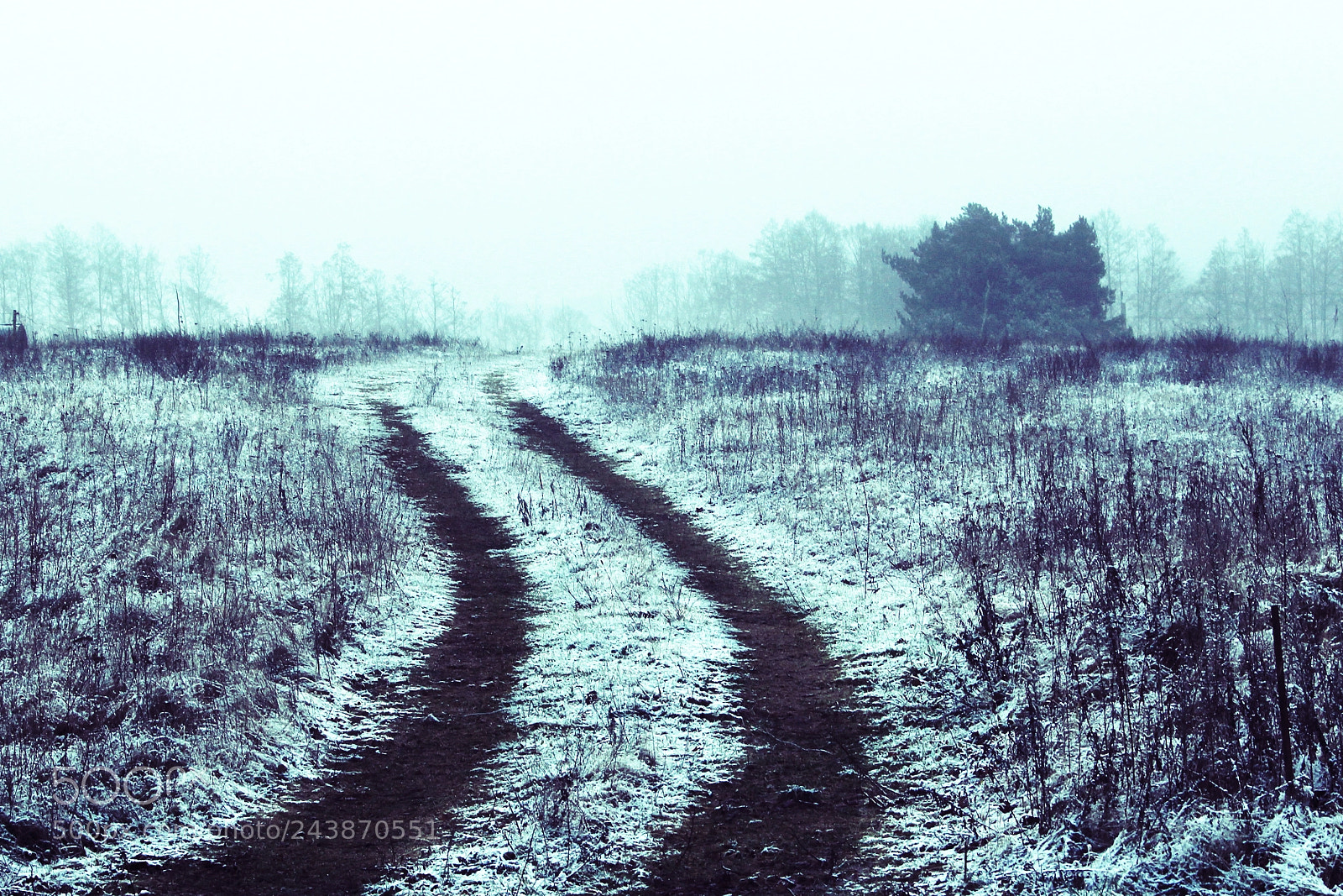 Canon EOS-1D Mark IV sample photo. Untitled photography