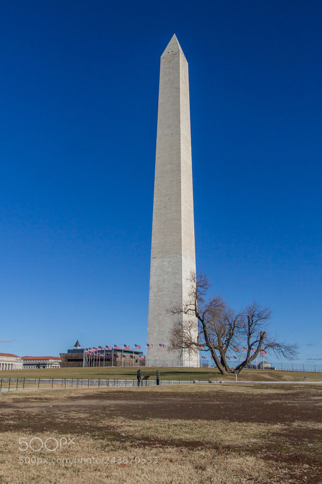 Canon EOS 550D (EOS Rebel T2i / EOS Kiss X4) sample photo. Standing with a monument photography