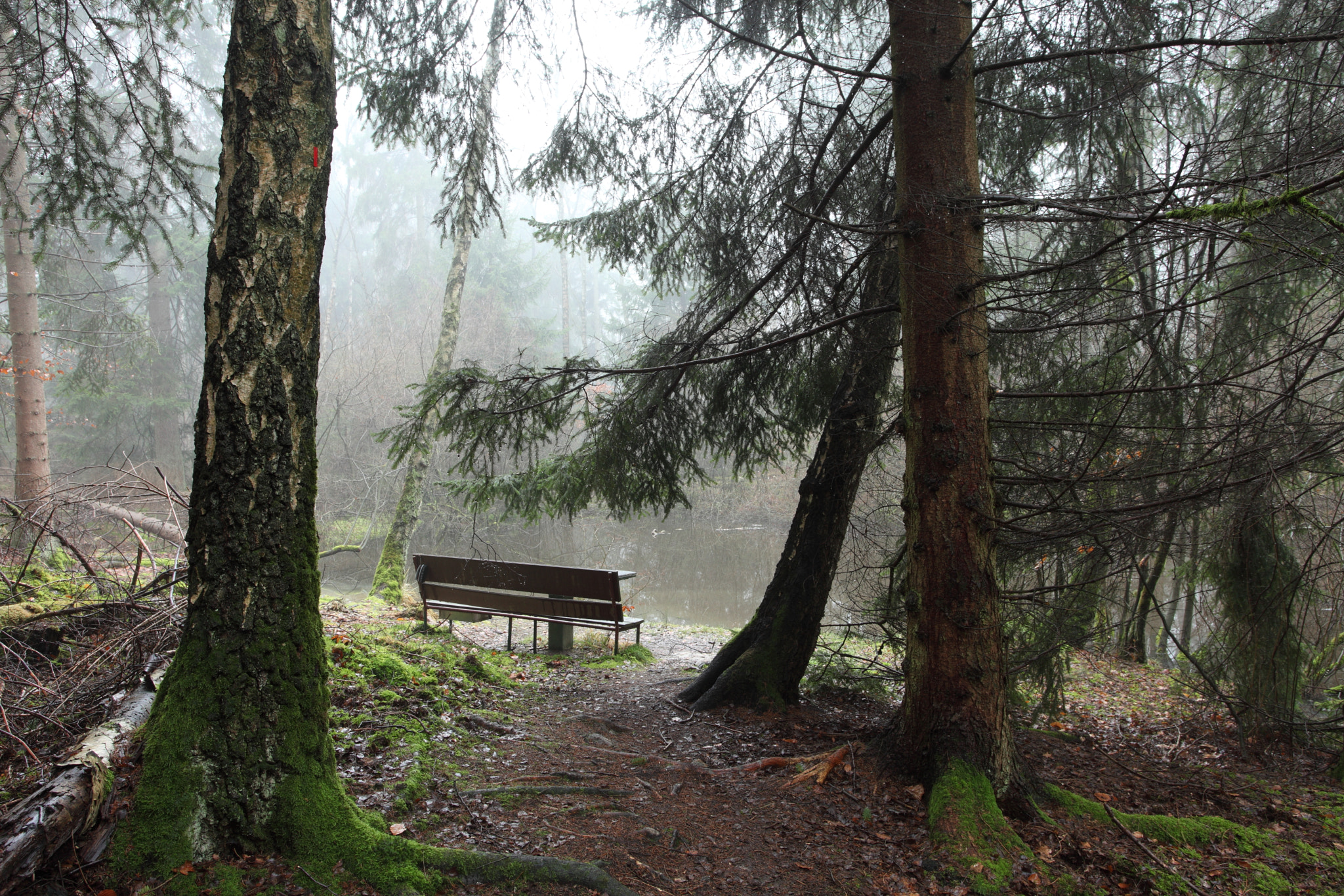 Canon EF 17-40mm F4L USM sample photo. The bench photography
