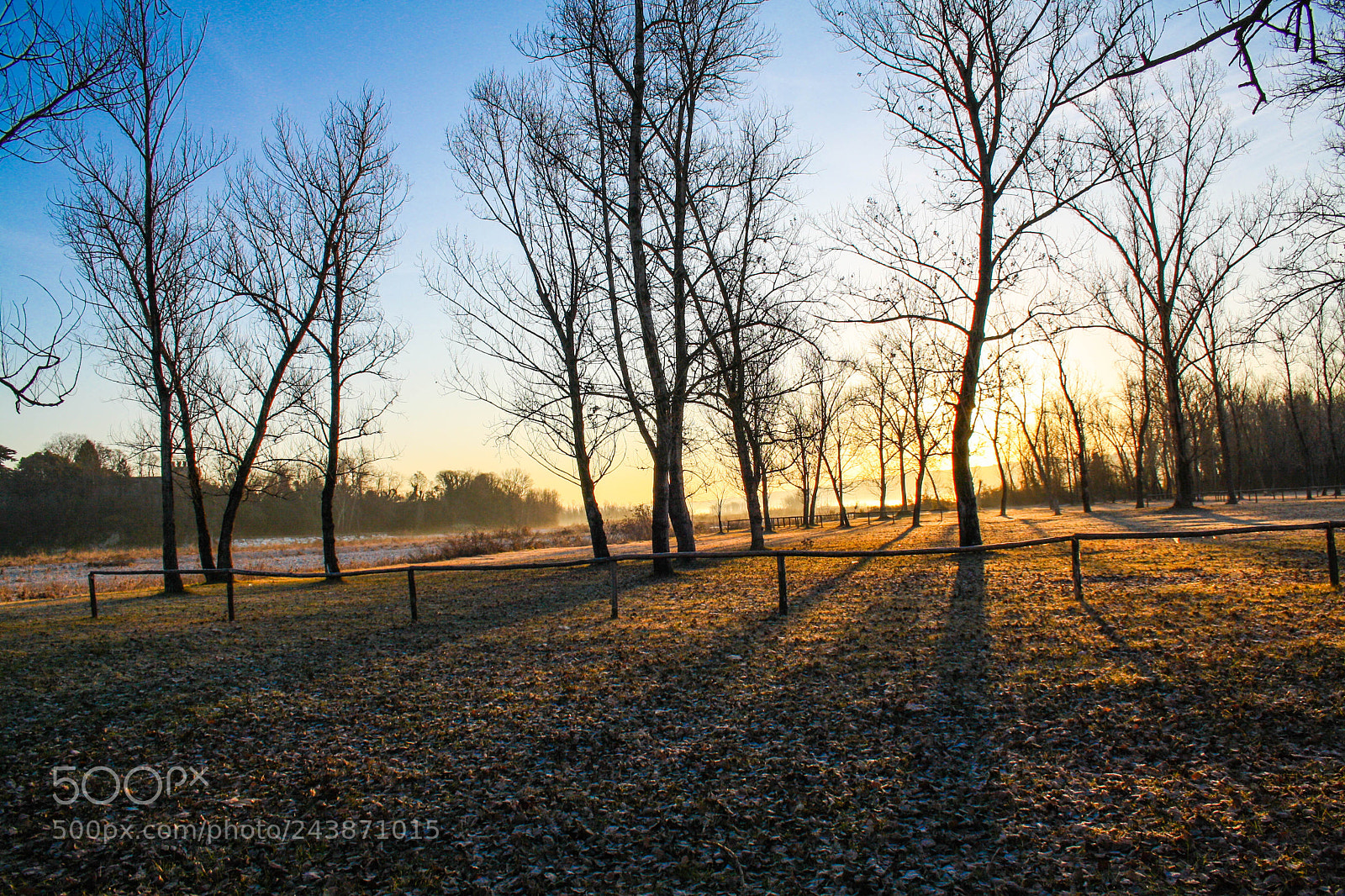 Canon EOS 1000D (EOS Digital Rebel XS / EOS Kiss F) sample photo. Sunrise in winter photography