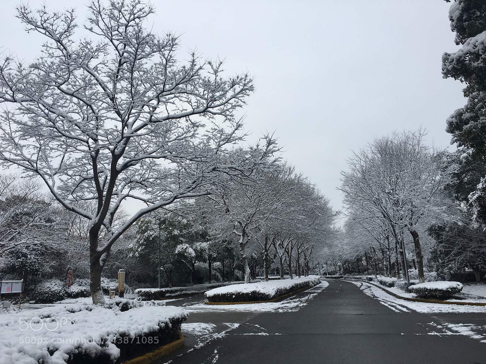 Apple iPhone 6s sample photo. Silence photography