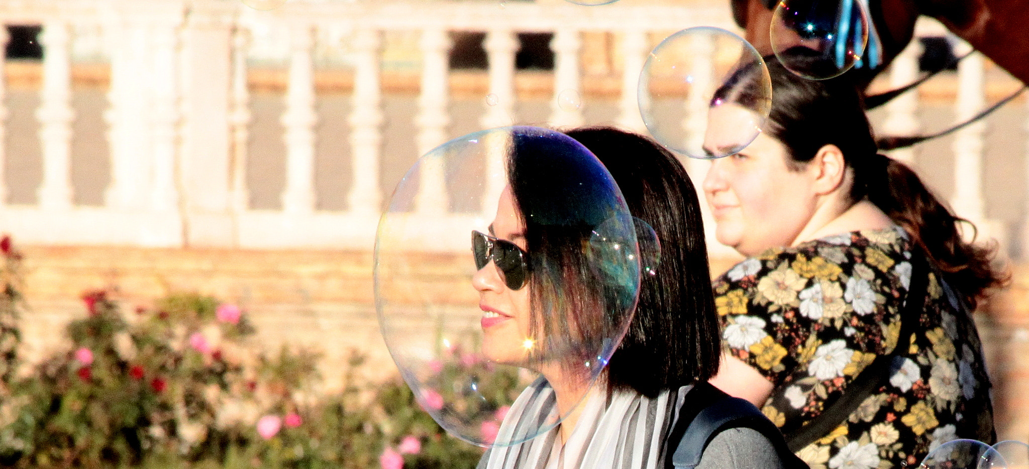 Canon EF 70-300mm F4-5.6 IS USM sample photo. Bubble head photography