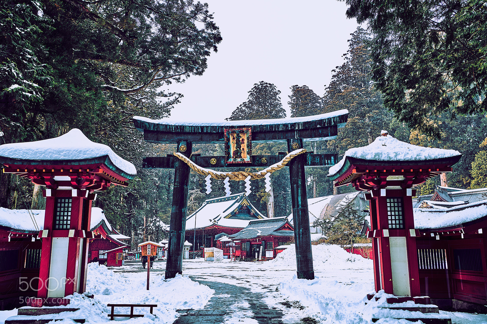 Nikon D850 sample photo. Futa-arasan shrine photography