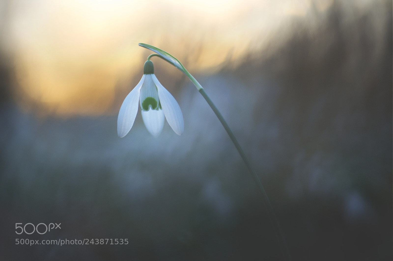 Pentax K-5 sample photo. Cold evening photography