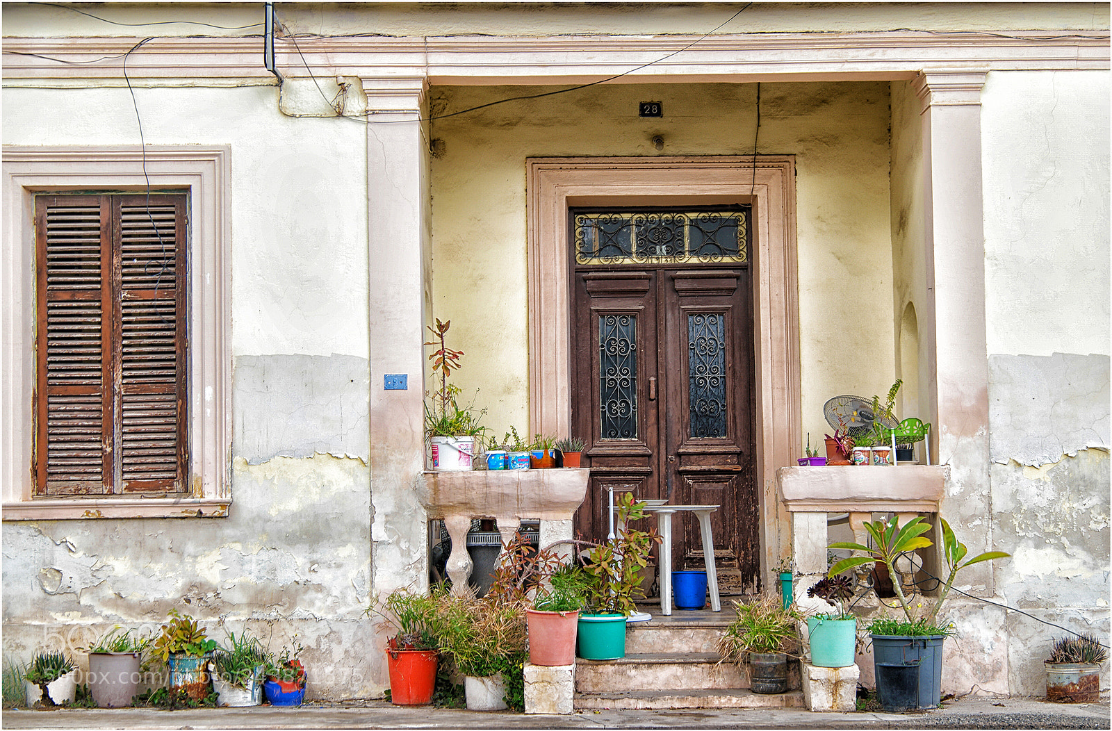 Samsung NX1 sample photo. The pot garden photography